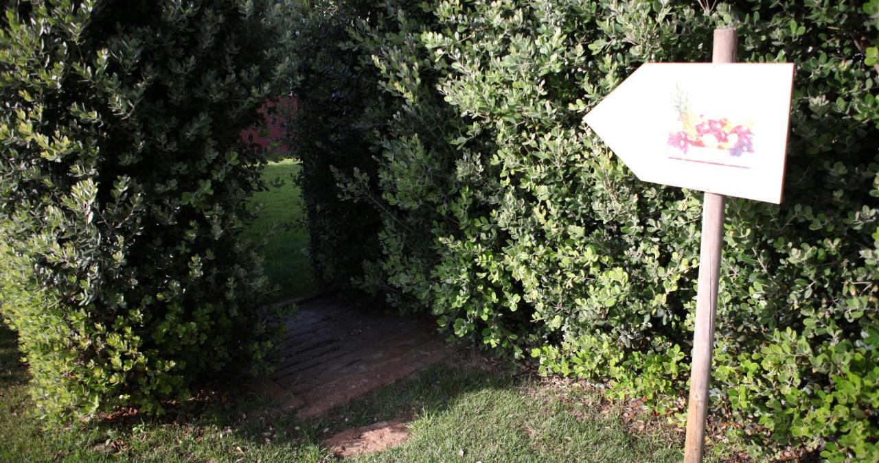 Woof & Sun Vila Esmoriz Exterior foto